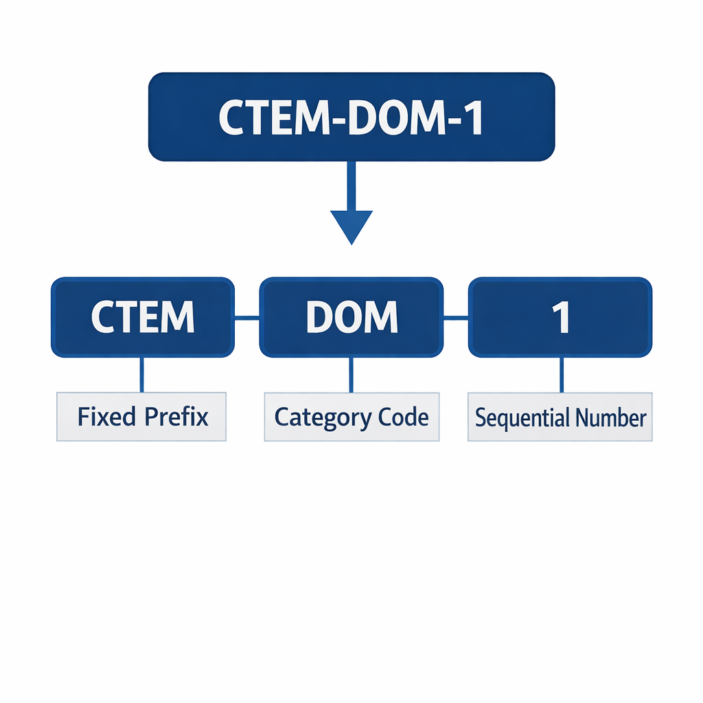 CTEM Identifier Format: CTEM-DOM-1 broken down into Fixed Prefix (CTEM), Category Code (DOM), and Sequential Number (1)